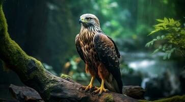 AI generated close-up of atropical wild bird in the forest, tropical wild bird, wild bird in the forest, bird sitting on the tree photo