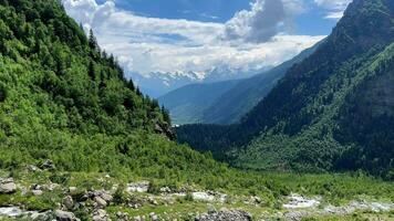 Verdant Valley Panorama, Serene Mountain Vista video