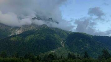 nebbioso foresta mountainscape avvolto nel nuvole video