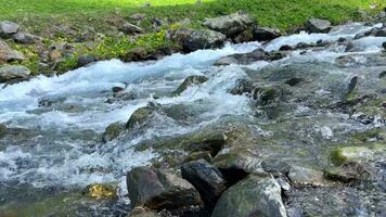 Spring Mountain Stream Babbling Over Rocks video