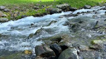 Primavera montanha corrente balbucio sobre pedras video