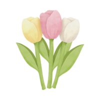 ai generado un ramo de flores de tulipanes flores png