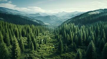 ai generado paisaje con árboles, bosque vista, tropical bosque vista, plantas y arboles foto