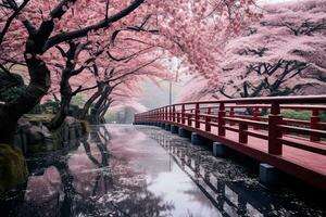 ai generado Cereza flores y rojo puente en el parque en primavera, ai generado foto