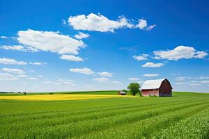 ai generado rojo granero y silos en un campo de trigo con azul cielo, ai generado foto