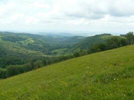 The blossoming meadows on slopes of hills. photo