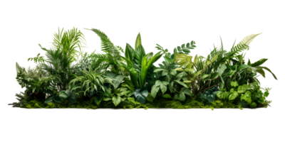 AI generated Green leaves and plants PNG