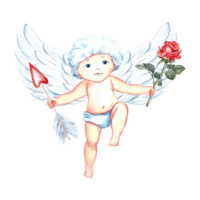 mignonne charmant Cupidon avec un La Flèche et une Rose. bébé Cupidon, peu ange. aquarelle illustration, dessiné à la main. une conception élément pour la Saint-Valentin journée et mariage. pour cartes postales, impression et emballage png