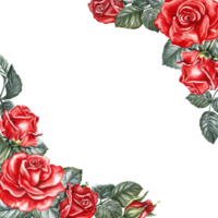 marco con rojo rosas. un dibujado a mano acuarela ilustración. flor tarjeta diseño. un invitación a un Boda de acuarela belleza, un elegante saludo tarjeta. para embalaje y etiquetas, carteles y volantes png