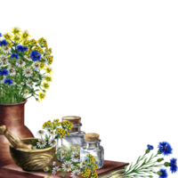 A frame with medicinal herbs, chamomile, cornflowers and tansy. A wooden mortar and glass vials on an old recipe book. Hand-drawn watercolor illustration. Isolated composition. png