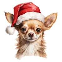 ai genererad chihuahua hund bär en santa hatt. ai genererad bild png