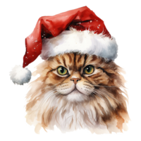 ai gegenereerd Perzisch kat vervelend een de kerstman hoed. ai gegenereerd beeld png