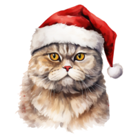 ai generiert schottisch falten Katze tragen ein Santa Hut. ai generiert Bild png