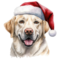 ai generiert Labrador Retriever Hund tragen ein Santa Hut. ai generiert Bild png