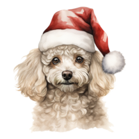 AI generated Poodle Dog Wearing a Santa Hat. AI generated image png