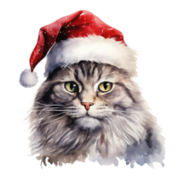 ai genererad inhemsk kort hår katt bär en santa hatt. ai genererad bild png