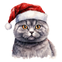 AI generated British Shorthair Cat Wearing a Santa Hat. AI generated image png