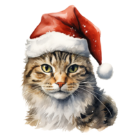 AI generated Domestic Shorthair Cat Wearing a Santa Hat. AI generated image png