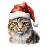 ai genererad inhemsk kort hår katt bär en santa hatt. ai genererad bild png