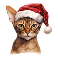 ai genererad abessinier katt bär en santa hatt. ai genererad bild png