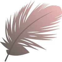 Feather brown pink gradient vector