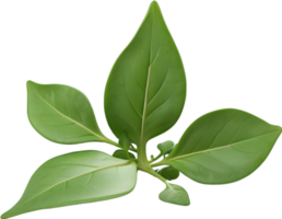 AI generated a plant with leaves on it, on a transparent background png