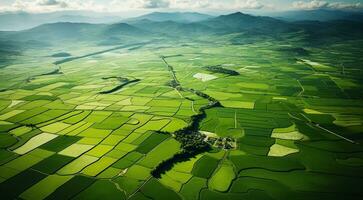 AI generated panoramic aerial view of fields and grass photo