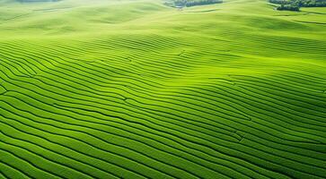 AI generated panoramic aerial view of fields and grass photo