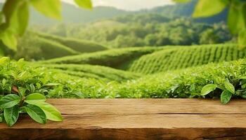 vacío de madera mesa o de madera escritorio en naturaleza antecedentes de verde hojas y té plantación foto