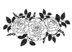Rose Flower Line Art Bouquet vector