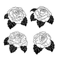 Collection of Roses Flower Hand Drawn vector