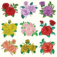 Collection of Rose Flowers Bouquet with Many Color vector