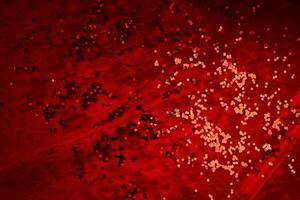 Abstract Christmas background made of red velvet fabric with red sparkles. photo