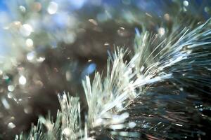 Shining Christmas abstract background with bokeh. photo