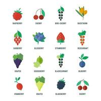 Berries bright flat icons isolated set vector