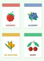 Tags or cards templates with berries in flat vector