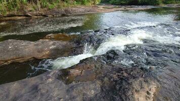 tropisch Wasserfall im Lagoa Enkantada im das Stadt von ilheus Bahia Brasilien video