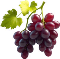 ai gerado dois vermelho uvas em uma transparente fundo png