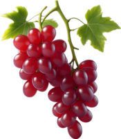 ai gerado dois vermelho uvas em uma transparente fundo png