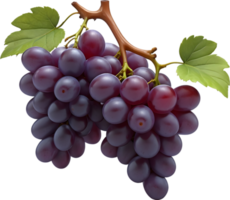 ai gerado dois vermelho uvas em uma transparente fundo png