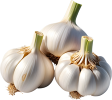 AI generated two garlic bulbs on a transparent background png