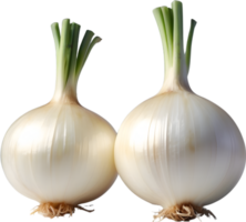 AI generated two onions on a transparent background png