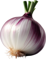 AI generated an onion on a transparent background png