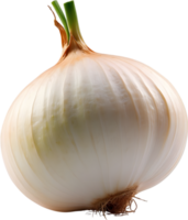 AI generated an onion on a transparent background png