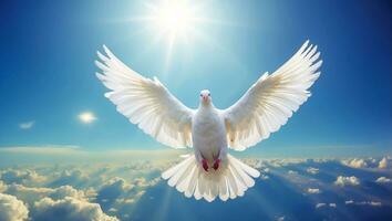 AI generated White dove against the sky with clouds photo