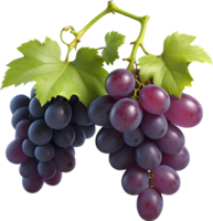 ai gerado dois vermelho uvas em uma transparente fundo png