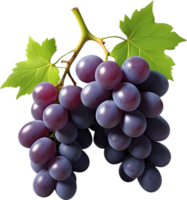 AI generated two red grapes on a transparent background png