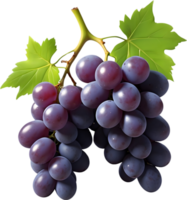 ai gerado dois vermelho uvas em uma transparente fundo png