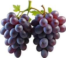 ai gerado dois vermelho uvas em uma transparente fundo png