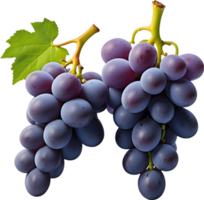 ai generado dos rojo uvas en un transparente antecedentes png